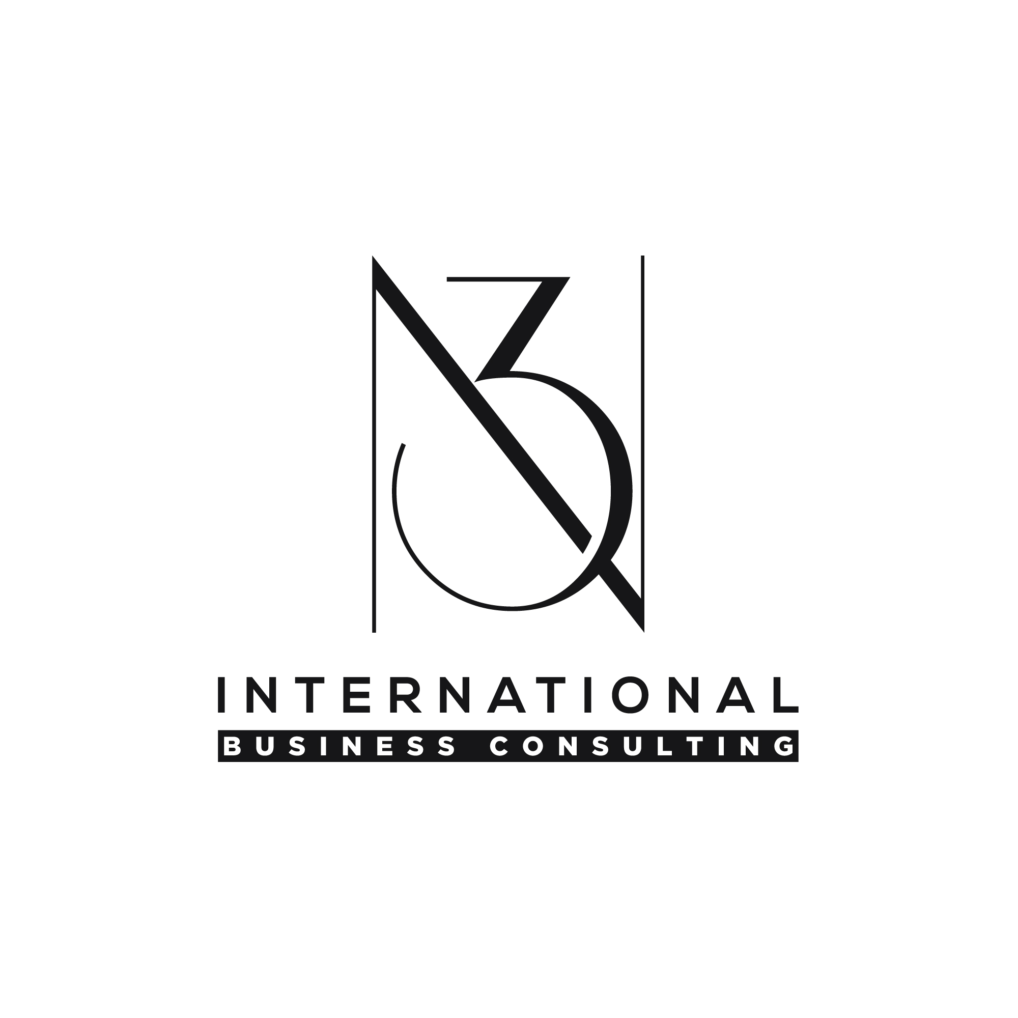 N3 International Business Consulting LLC